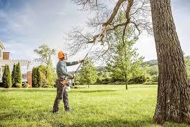 How Our Tree Care Process Works  in  Britt, IA